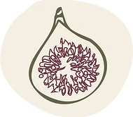 Premium, Balanced Ingredients